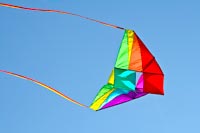 Kite