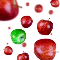 Apples using pen