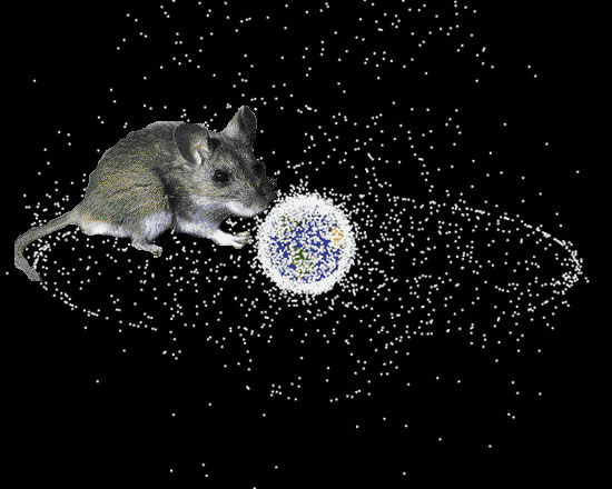 Mouse in space
